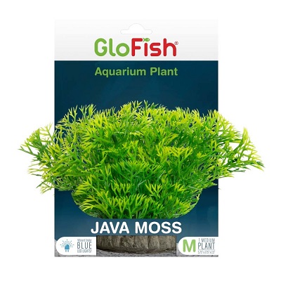 GLOFISH JAVA MOSS PLANT