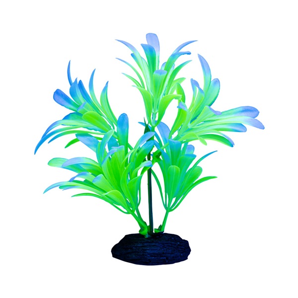 GLOFISH PLANT OMBRE GRN/WHT SM