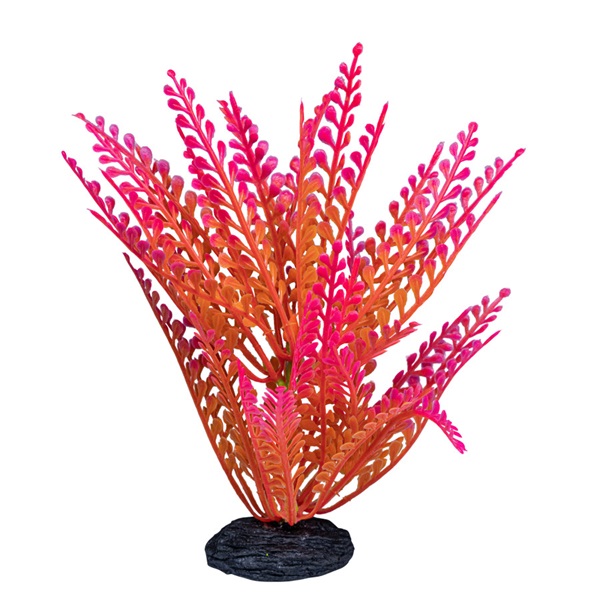 GLOFISH PLANT OMBRE ORNG/YEL SM