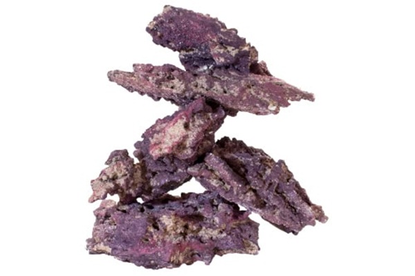 CS LIFE ROCK ORIGINAL SHELF per lb.