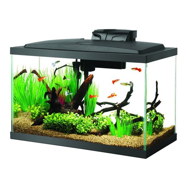 Aqueon Starter Sets 10-20 gal