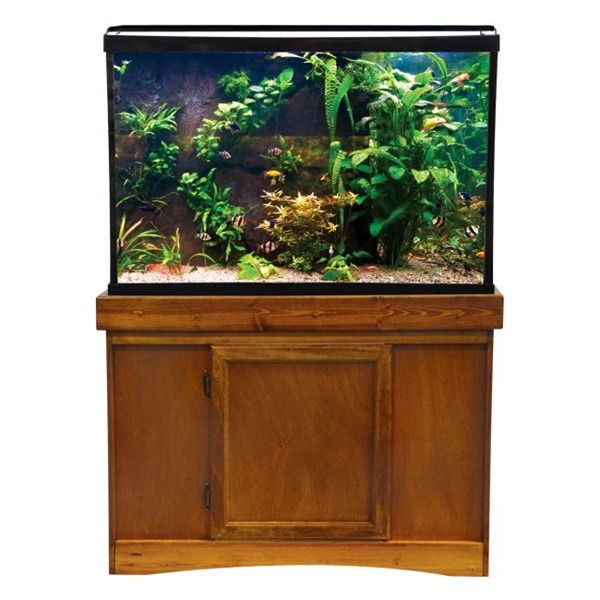 Freshwater Planted Tank Checklist