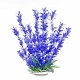 AT VERALIFE BACOPA BLUE BH28-12"