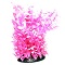 UT WHITE TIP LUDWIGIA 12"