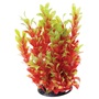 UT RED LUDWIGIA 10"