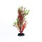 UT RED/GREEN SPRINGERIA PLANT 8"