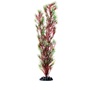 UT RED/GREEN SPRINGERI 16"