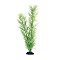 UT GREEN DIANDRA PLANT 20"