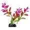MINI MONEYWORT PURPLE UT