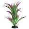 UT LONELY HEART FERN 8"