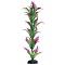 UT LONELY HEART FERN 16"
