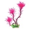 PARADISE FERN  FUCHSIA 18" UT