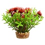 UT BACOMBA RED 4"