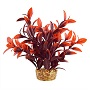 UT LUDWIGA CHERRY