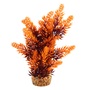 UT HYGRO TREE SUNSET PLANT 8"