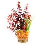 UT VARIETY FLAMES PLANT 10"