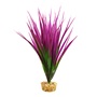 UT AMAZON GRASS PURPLE PLANT 10"