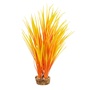 UT AMAZON GRASS FLAME PLANT 10"