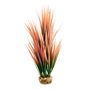 UT AMAZON GRASS SALMON PLANT 10"