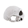 UT CERAMIC SKULL MED