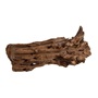 UT MANGROVE ROOT MED