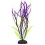 UT WAVY VAL GRN/PURPLE PLANT 8"