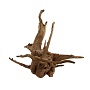 UT EUCALYPTUS ROOT SMALL