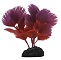 PP FOREGROUND FAN PALM RED 3.5"