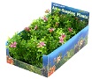 PP AQUA-SCAPING GRN/PNK MED