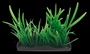 PP AQUASCAPING HAIRGRASS GRN MED