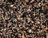 ESTE NUTMEG NAT GRAVEL REG 25#