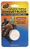 AQUATIC TURTLE BANQUET REG ZOOMD