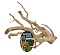 ZM SPIDER WOOD DRIFTWOOD SMALL