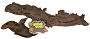 ZM MOPANI WOOD JUMBO 20-24" AT
