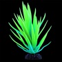 UT GLO AGAVE PLANT