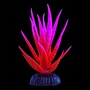 UT GLOW YUCCA PLANT PINK SMALL