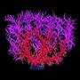 UT GLOW SEA FAN