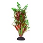 UT TIP DRAGON LEAF PLANT 8"