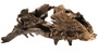 UT KAPAS ROOT LARGE