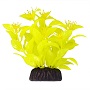 UT LUDWIGA YELLOW 3"