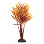 UT FERN ORANGE