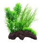 UT DRIFTWOOD W/ PLANT DECOR