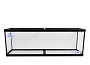 40 gal Long Seapora Tank 48x13x16