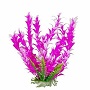 AT VERALIFE BACOPA PINK BH21-6"