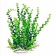 AT VERALIFE ELODEA GRN BH33-12"