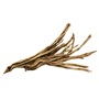 UT STARWOOD LARGE 24"-28"