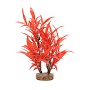 AQUALIFE RED HYGROPHILA 8''