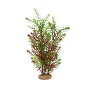 AQUALIFE GREEN MYRIO 14''