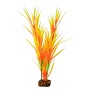 GLOFISH PLANT ORNG/YELLOW LARGE