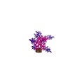 GLOFISH PLANT PURPLE/PINK